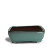 teal pot