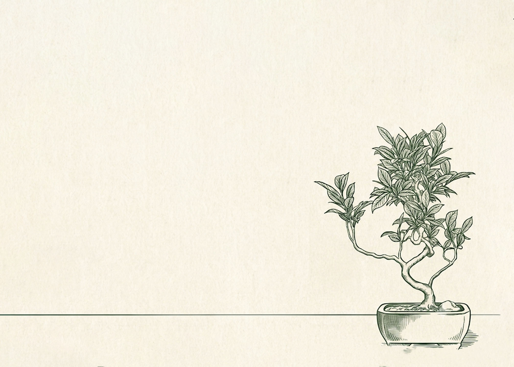 A botanical line drawing of a bonsai