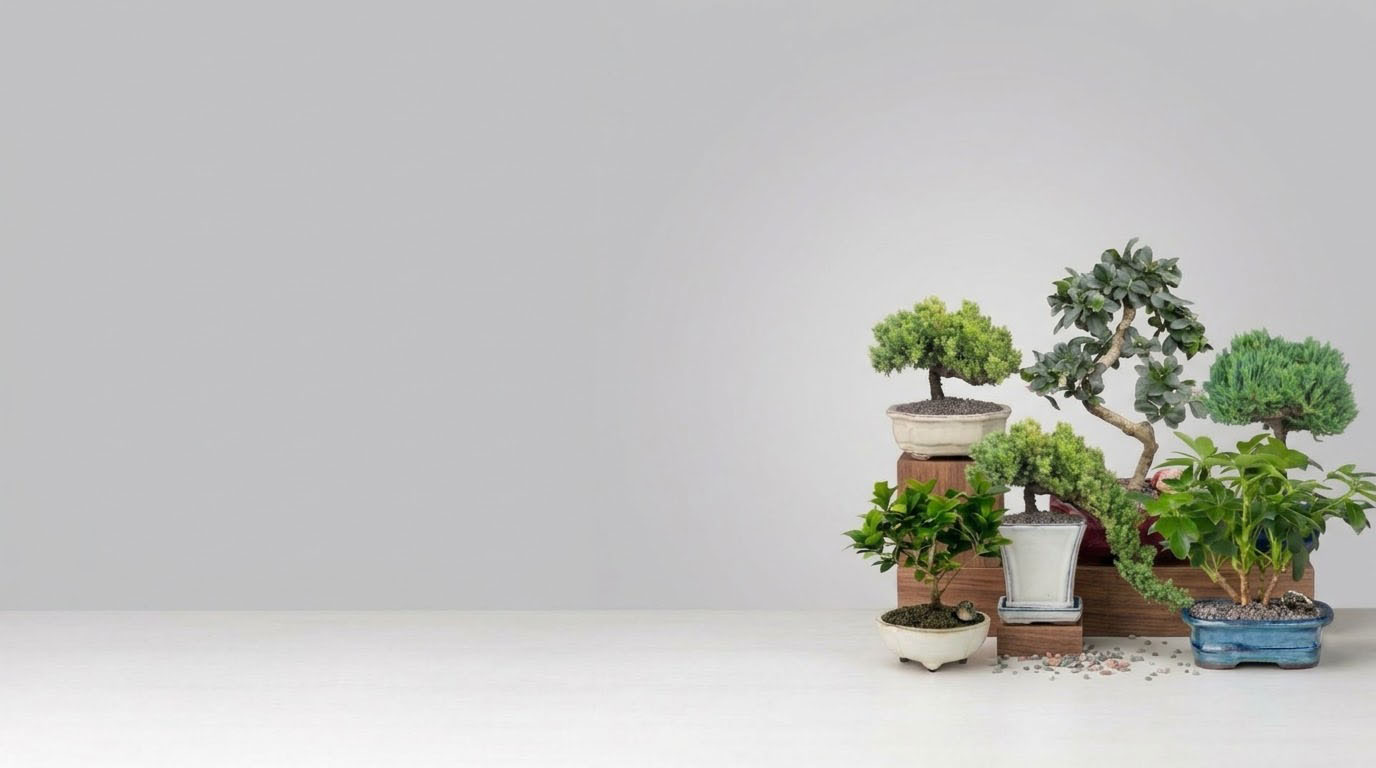 A collection of Birds Bonsai trees